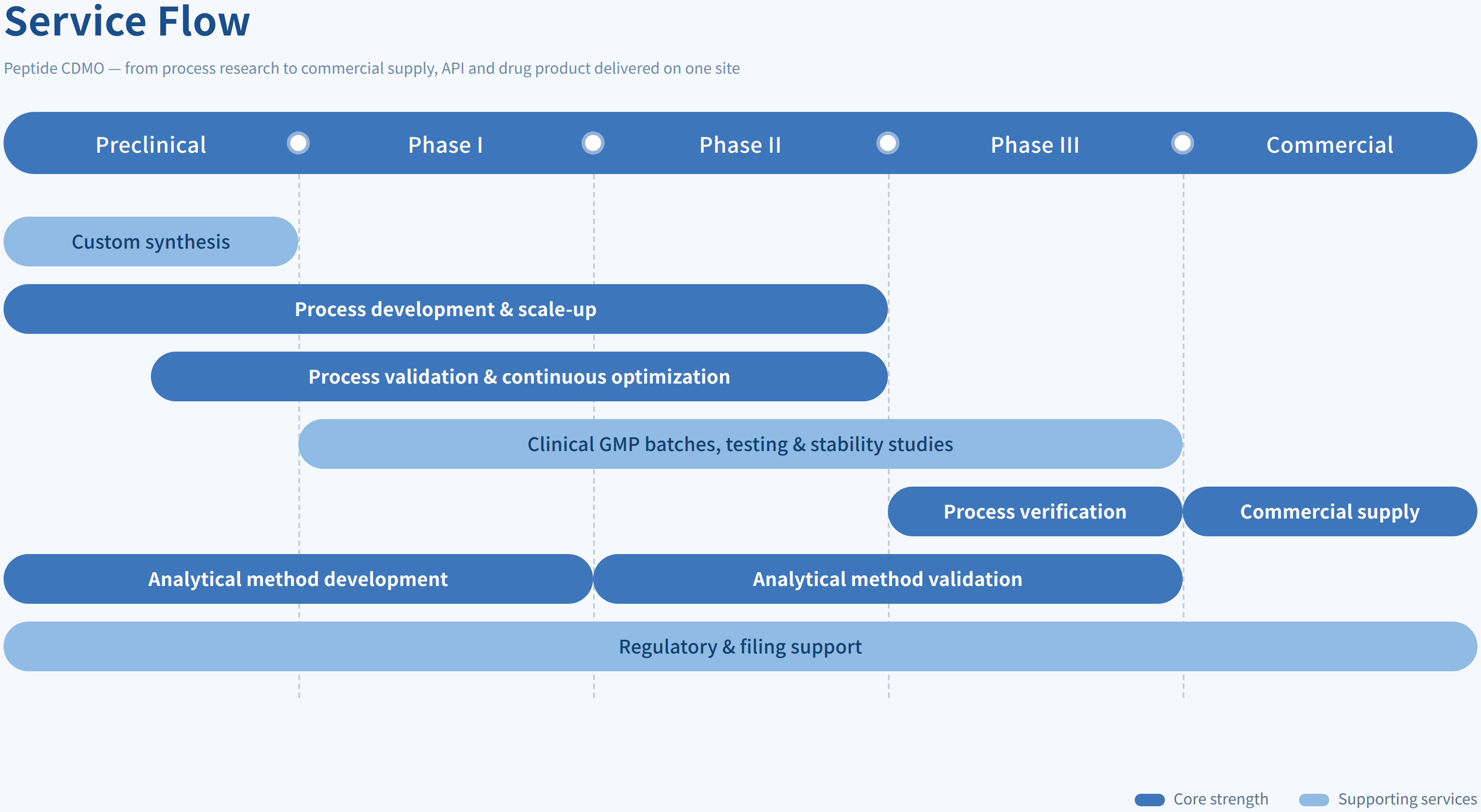 Peptide CDMO Service Flow